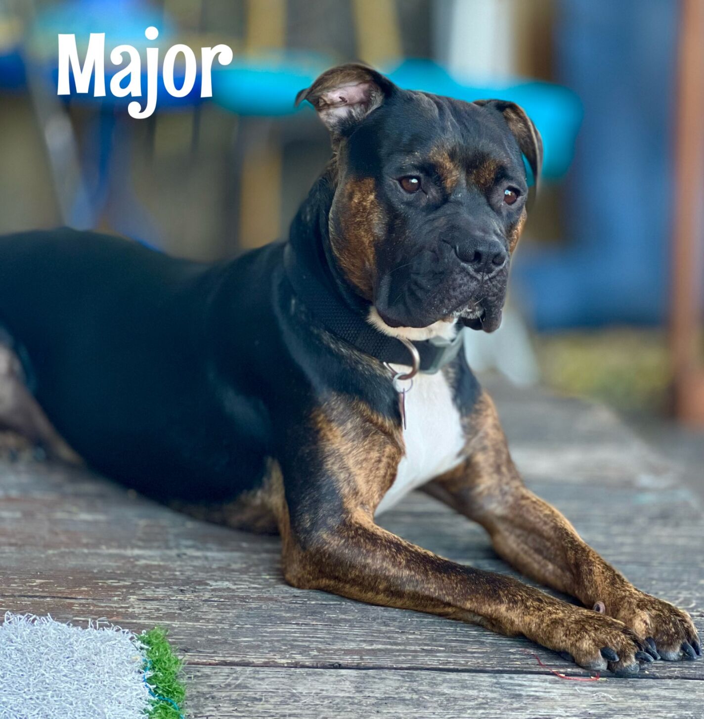 Major